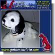 GE20110646: Toy Puppy Moves Head - Style 2 - Dozen Wholesale