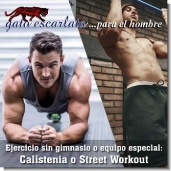 Ejercicio sin gimnasio o equipo especial:  Calistenia o Street Workout