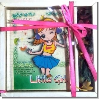 GE20110649:    DIARY FOR GIRLS STYLE 02 - 11X14 CENTIMETERS