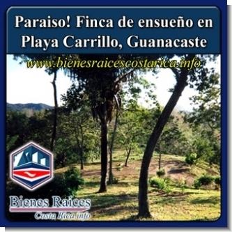 Lee el articulo completo Paraiso! Finca de ensueno en Playa Carrillo, Guanacaste Lee el articulo completo Paraiso! Finca de ensueno en Playa Carrillo, Guanacaste