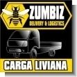 TT20022801: Zumbiz, Servicio de Carga Liviana