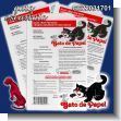 GE22031701: Glue Trap for Mice brand Gato de Papel - 12 Units