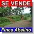 TT16080701: Finca Abelino - Hermosa Propiedad a La Venta