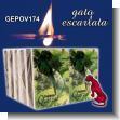 GEPOV174: Wooden Matches - Pack of 100 Boxes